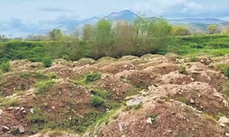 Με τρεις εκπαιδευμένους σκύλους η έρευνα στο οικόπεδο